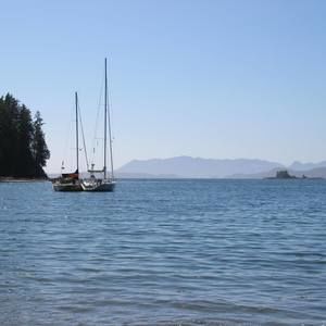 Meet your Posher, Billie